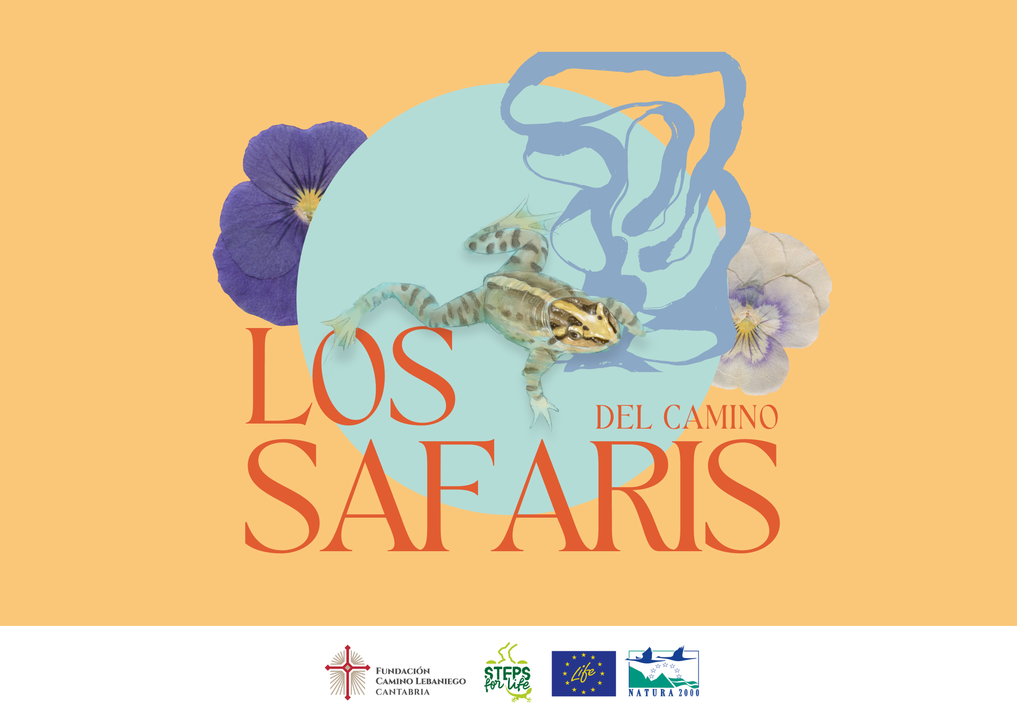 Los Safaris del Camino