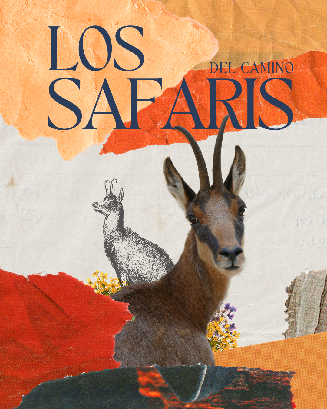 Safaris del Camino