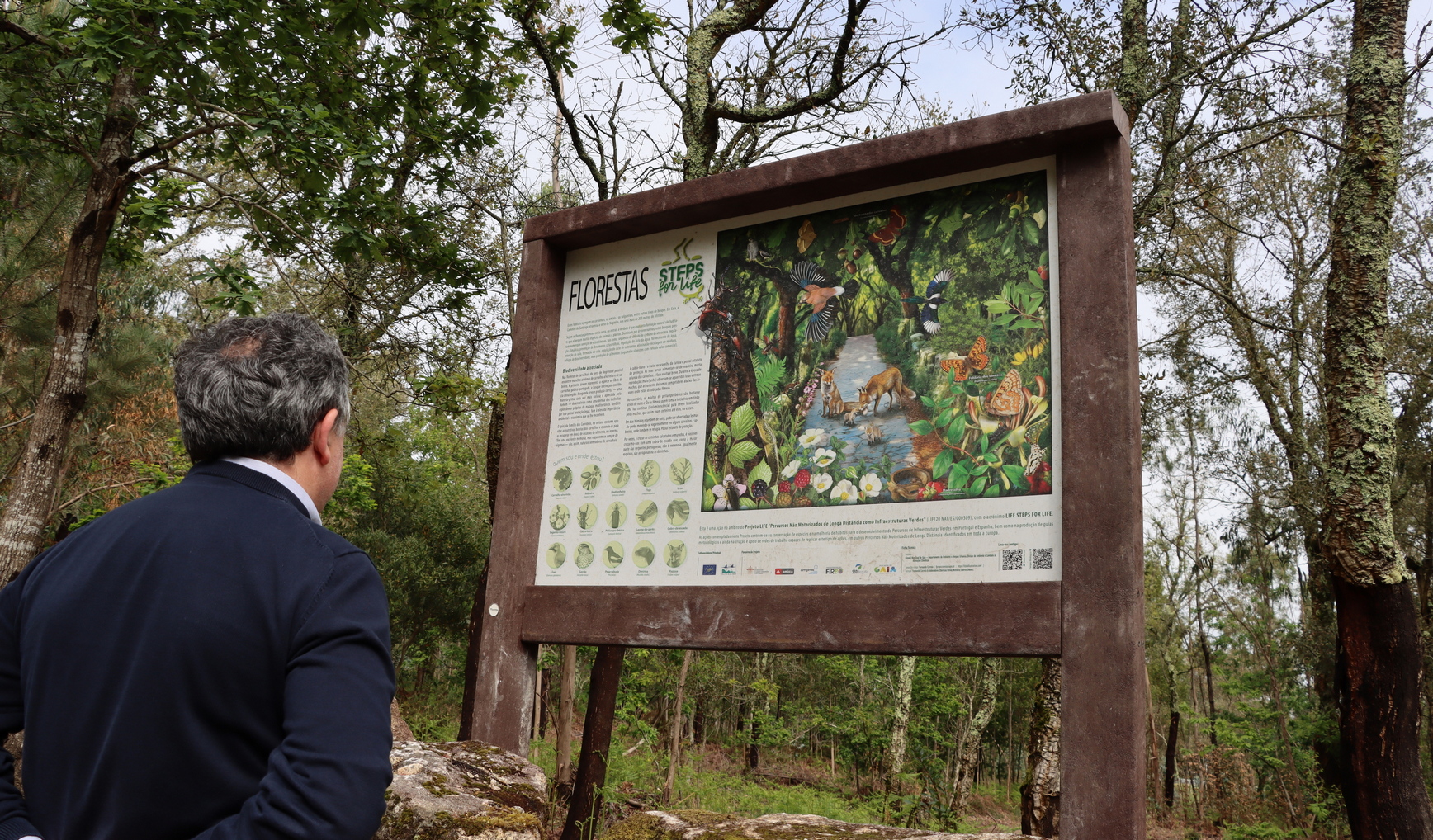 Vilanova de gaia camino de santiago